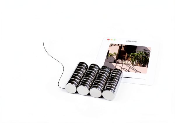 Deryun 8x2.7mm Rare Earth Magnets Nickel Coated Silver-3