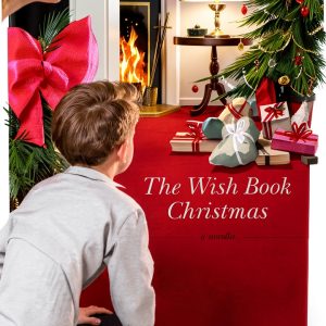 Tyndale Fiction Christian Historical Romance Kindle eBook-0