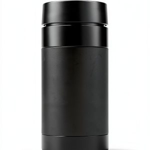 Michel Lafon French Literature Kindle Book 437 Pages-0