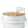 EconoHome 5 Gallon Bucket Heavy-Duty Plastic Storage Pail-2